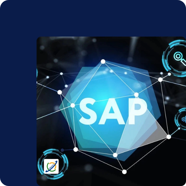 SAP Business One ERP