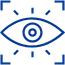 visual intelligence